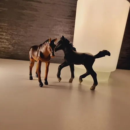 Haus Moor Merland Hébergement de vacances Moormerland