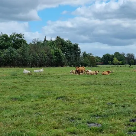 Haus Moor Merland Hébergement de vacances