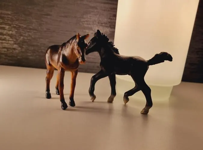 Haus Moor Merland 度假居 Moormerland