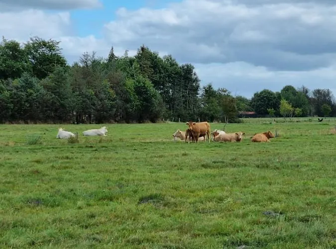 Haus Moor Merland 度假居